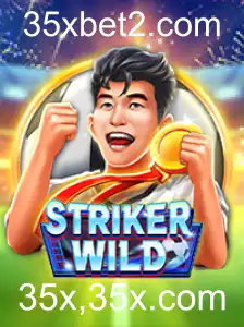 Introdução ao Mundo de StrikerWILD: Um Mergulho nas Regras e Dinâmicas do Jogo